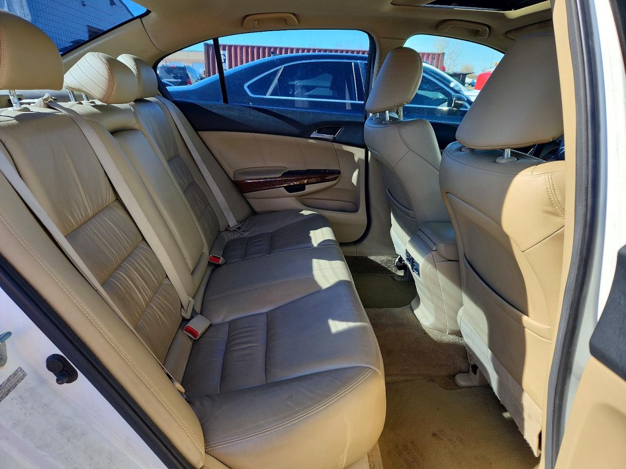 2011 Honda Accord Exl Белый vin: 1HGCP2F85BA804455