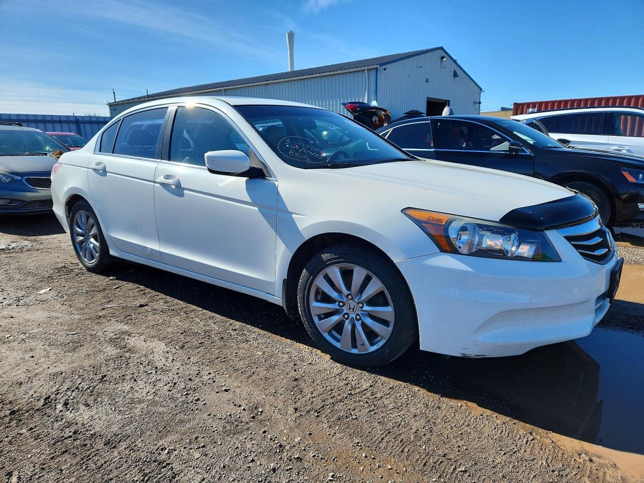2011 Honda Accord Exl Белый vin: 1HGCP2F85BA804455