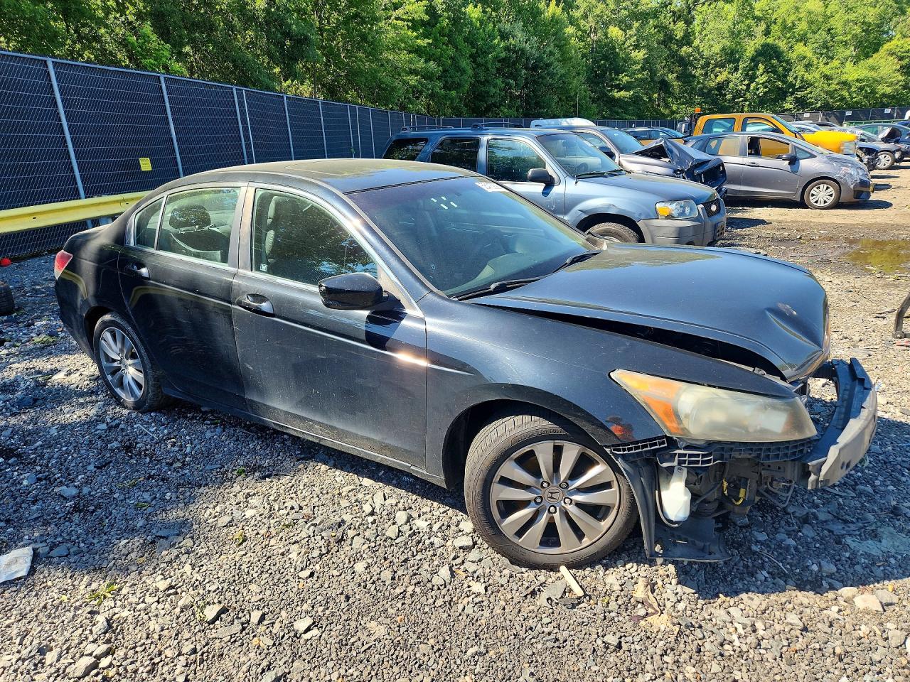 2012 Honda Accord Exl Black vin: 1HGCP2F85CA051950