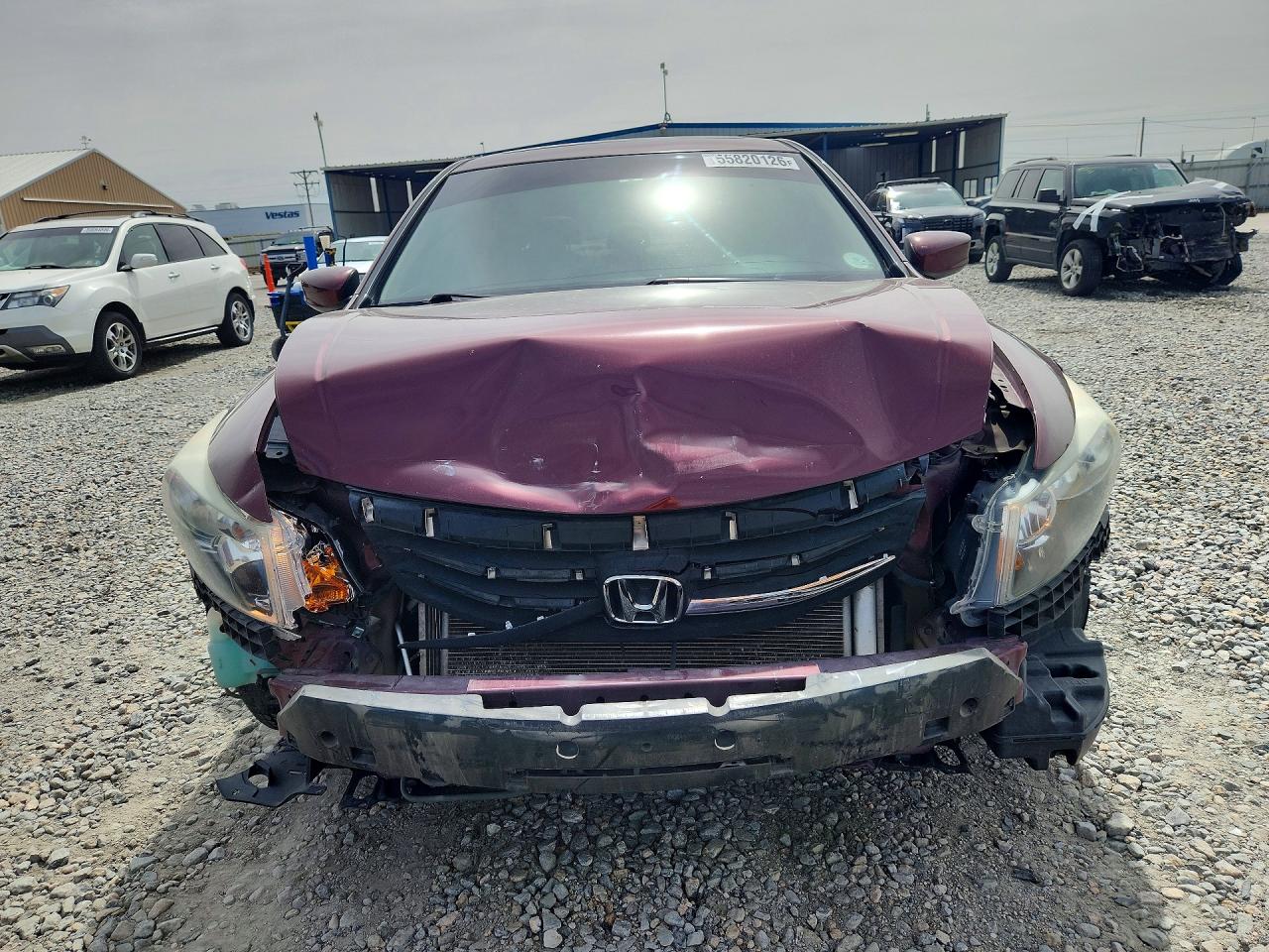 2012 Honda Accord Exl Burgundy vin: 1HGCP2F85CA201197