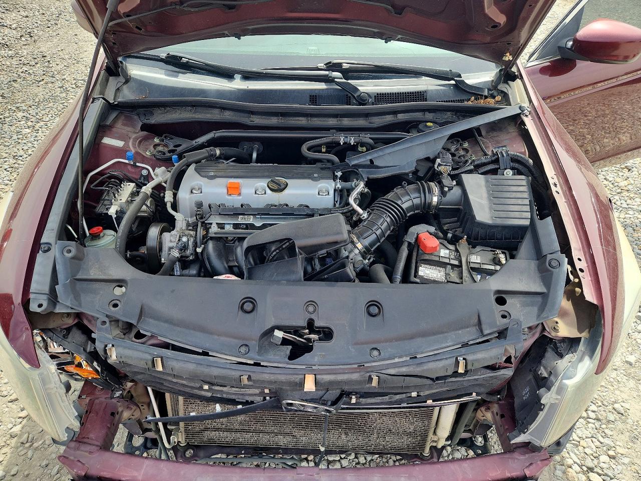 2012 Honda Accord Exl Burgundy vin: 1HGCP2F85CA201197
