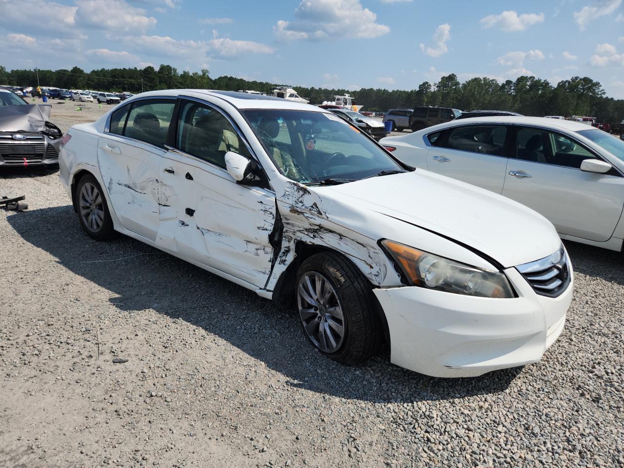 2012 Honda Accord Exl Белый vin: 1HGCP2F85CA218503