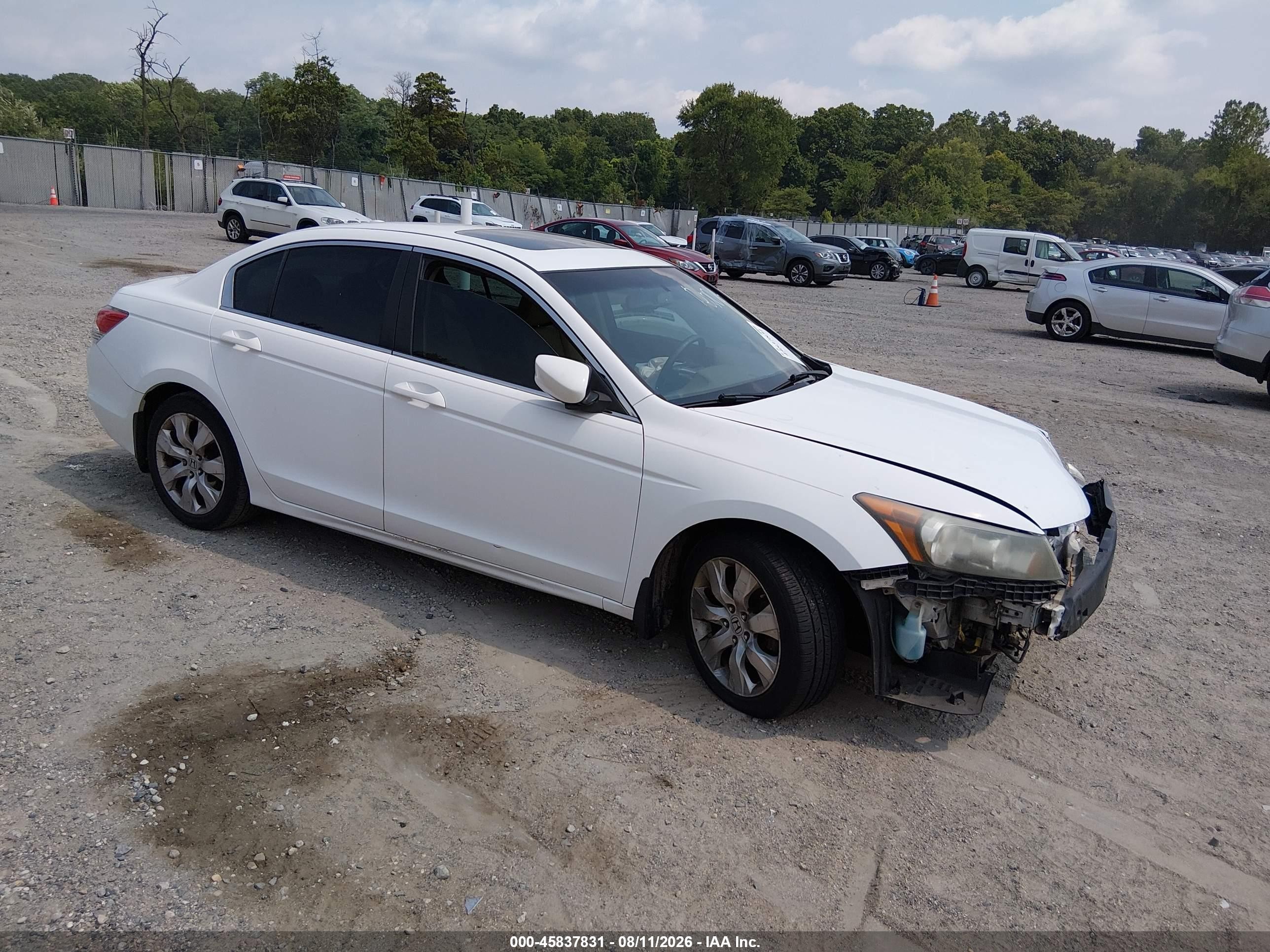 2010 Honda Accord 2.4 Ex-l White vin: 1HGCP2F86AA009381