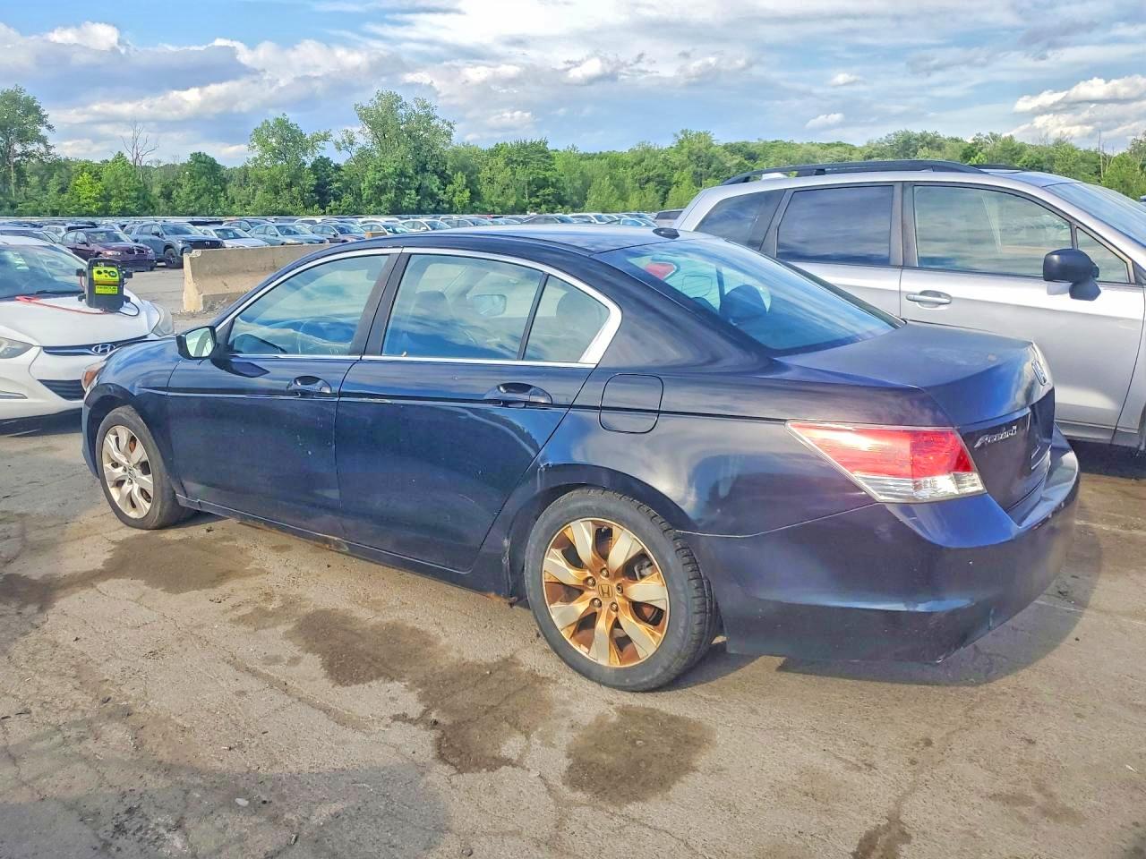 2010 Honda Accord Exl Black vin: 1HGCP2F86AA040257