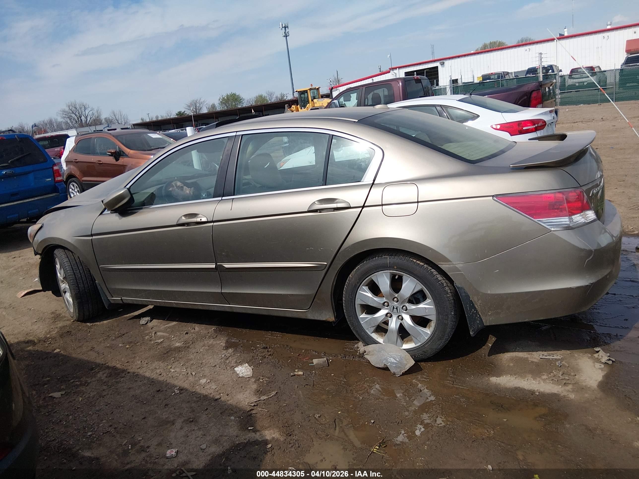 2010 Honda Accord 2.4 Ex-l Beige vin: 1HGCP2F86AA080239