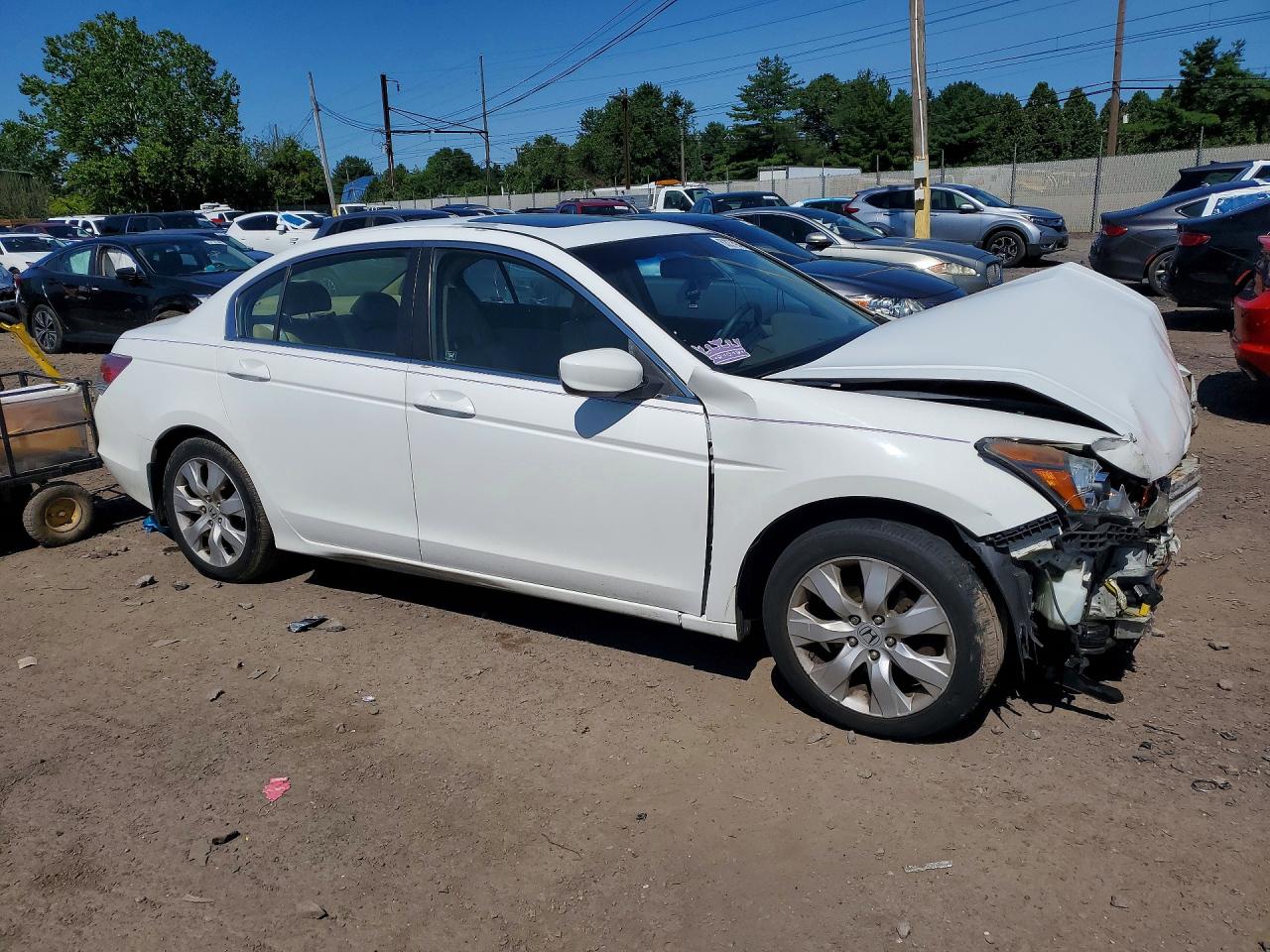 2010 Honda Accord Exl Белый vin: 1HGCP2F86AA095596
