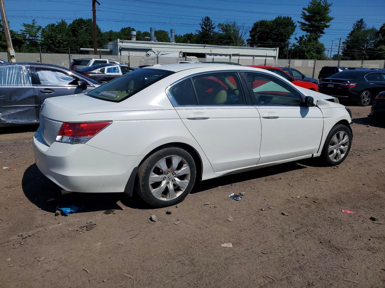 2010 Honda Accord Exl Белый vin: 1HGCP2F86AA095596