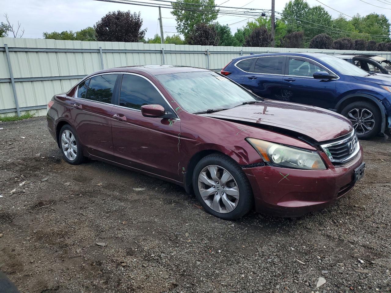 2010 Honda Accord Exl Burgundy vin: 1HGCP2F86AA161130