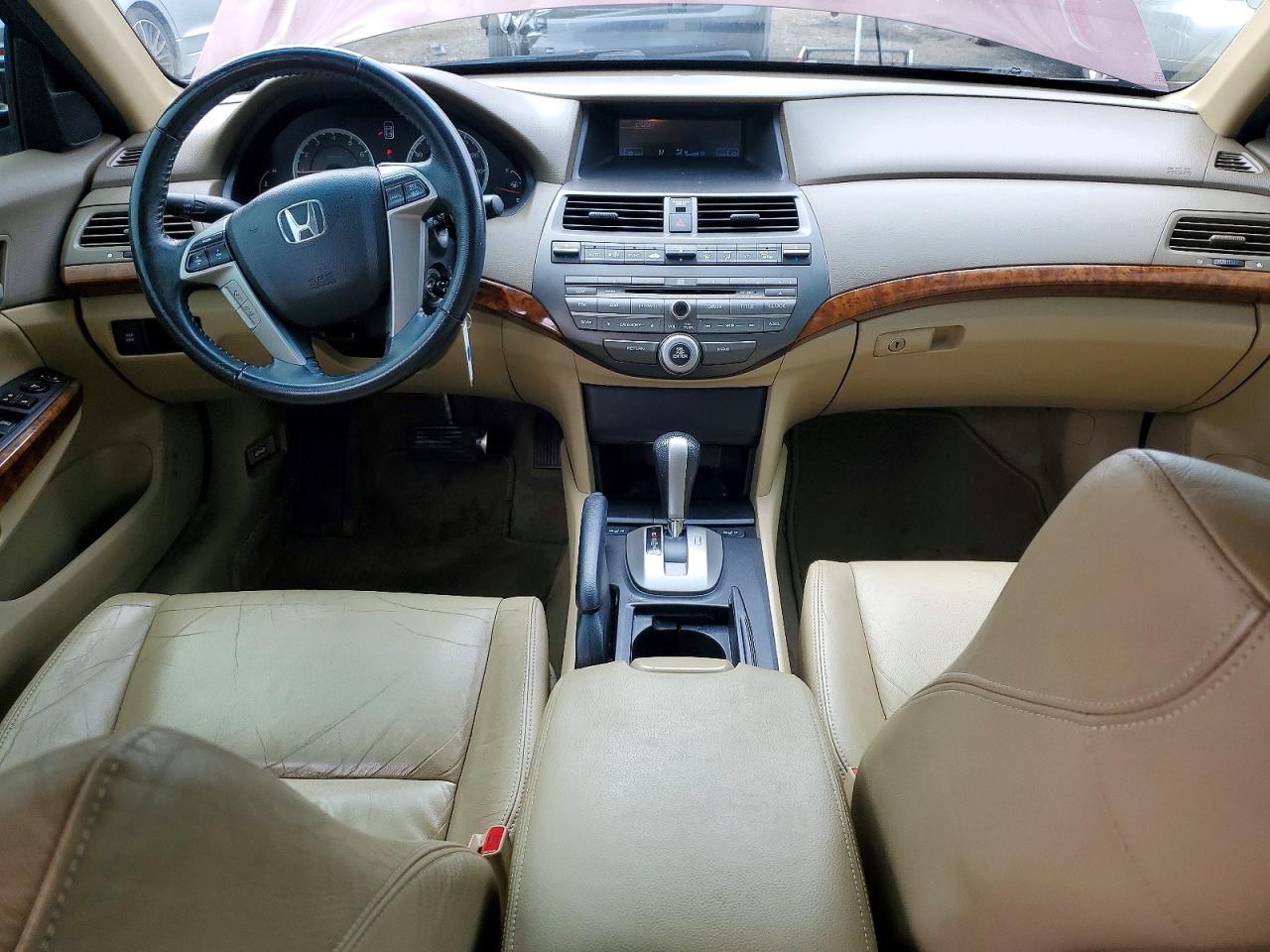 2010 Honda Accord Exl Burgundy vin: 1HGCP2F86AA161130