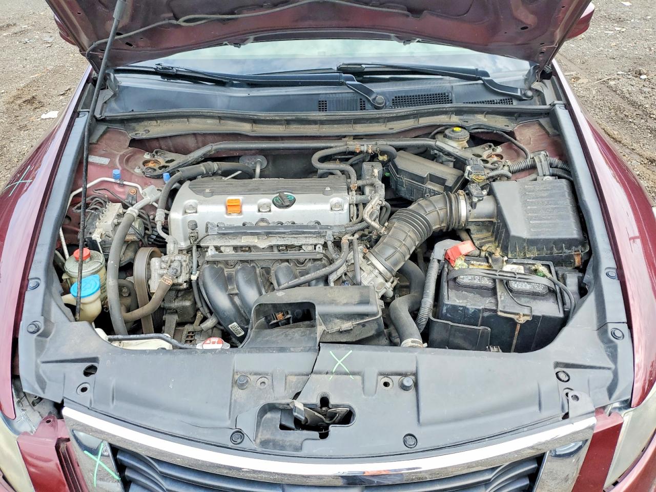 2010 Honda Accord Exl Burgundy vin: 1HGCP2F86AA161130