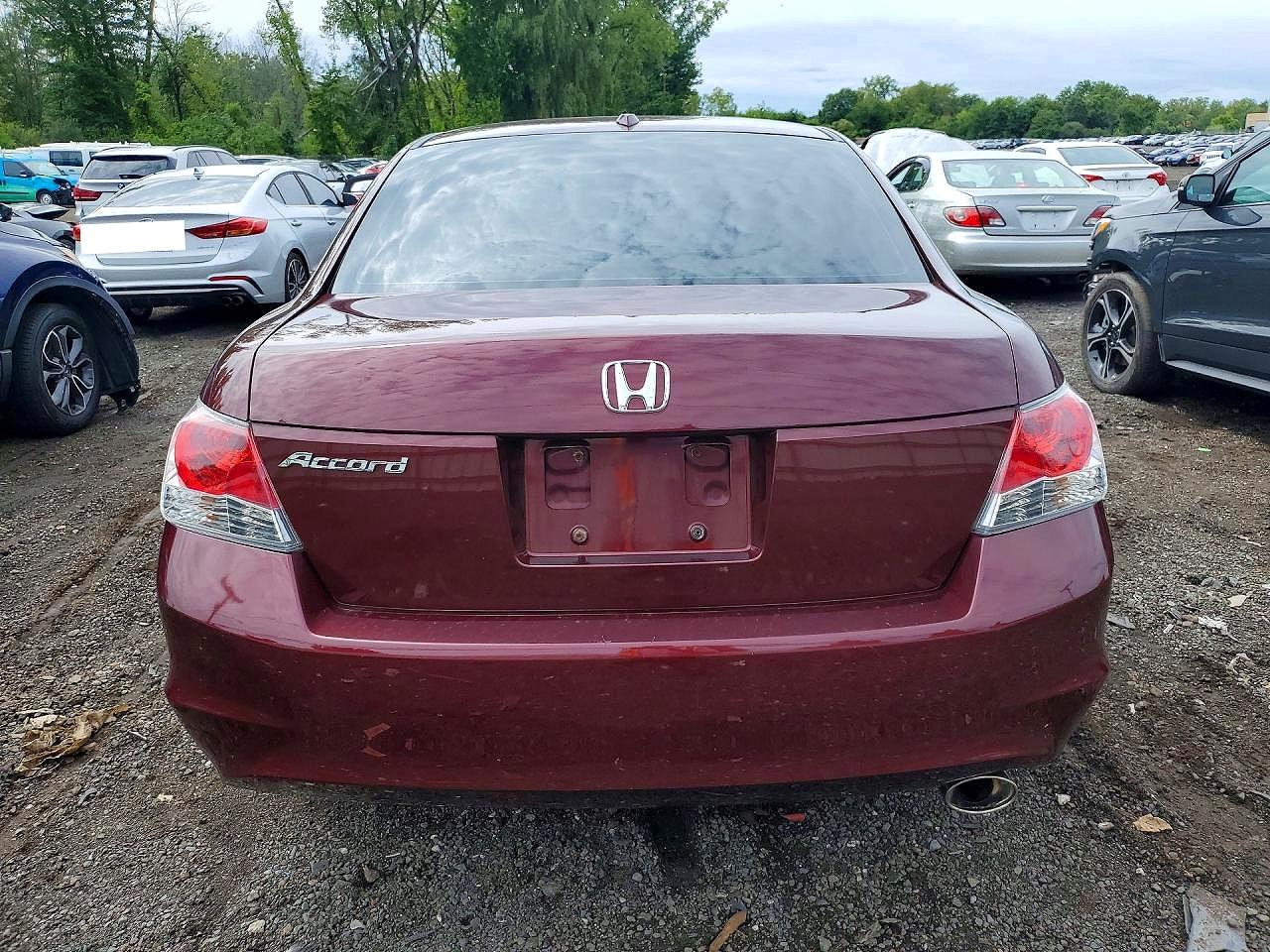 2010 Honda Accord Exl Burgundy vin: 1HGCP2F86AA161130