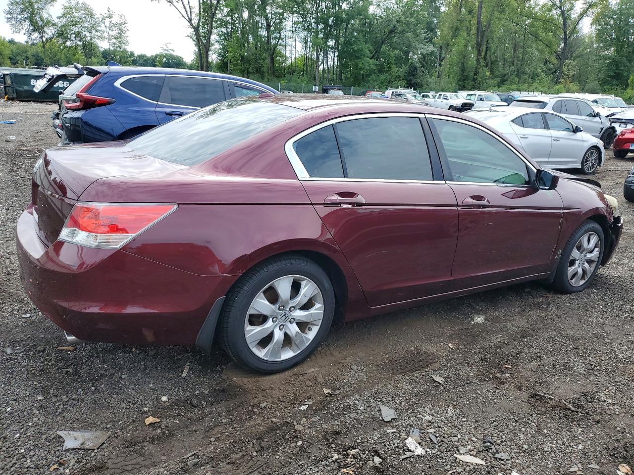 2010 Honda Accord Exl Burgundy vin: 1HGCP2F86AA161130