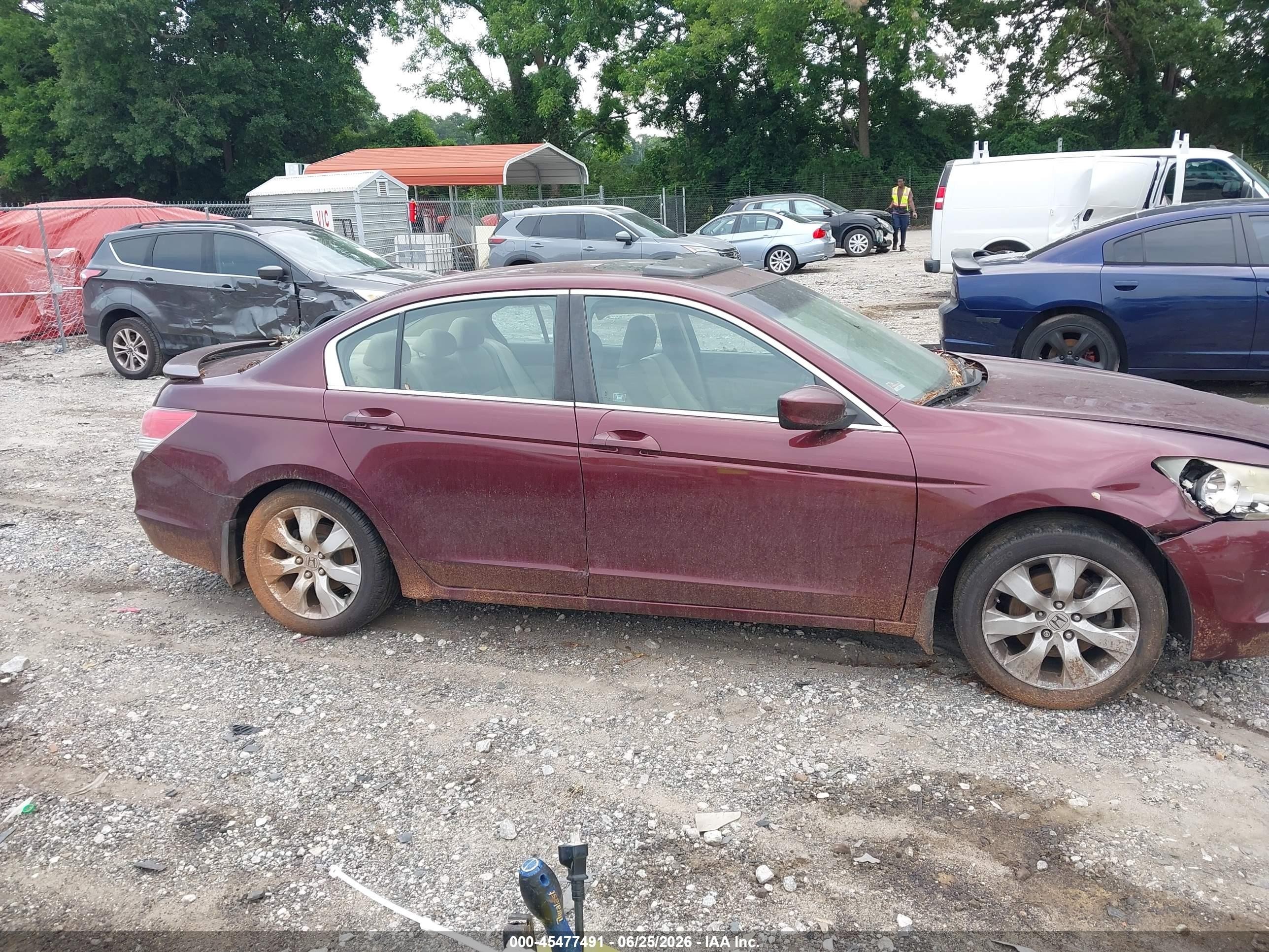 2010 Honda Accord 2.4 Ex-l Maroon vin: 1HGCP2F86AA161404