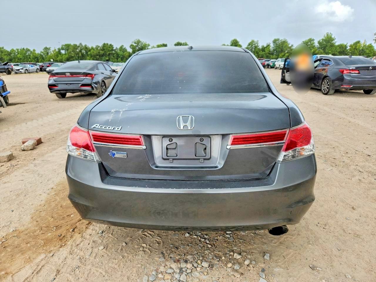 2011 Honda Accord Exl Black vin: 1HGCP2F86BA079075