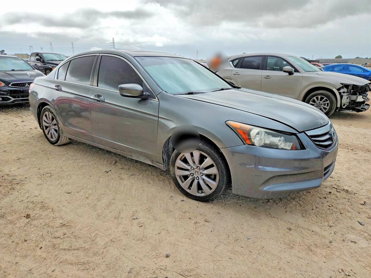 2011 Honda Accord Exl Black vin: 1HGCP2F86BA079075