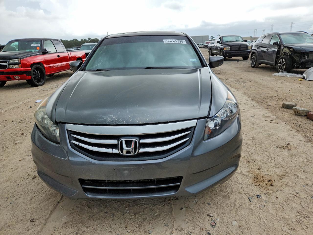 2011 Honda Accord Exl Black vin: 1HGCP2F86BA079075