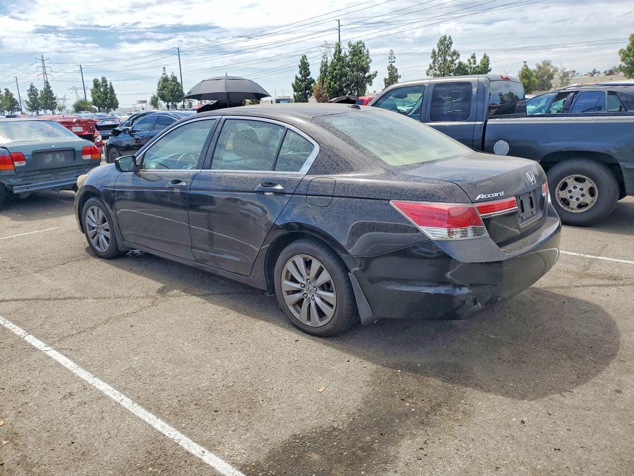2011 Honda Accord Exl Black vin: 1HGCP2F86BA104041