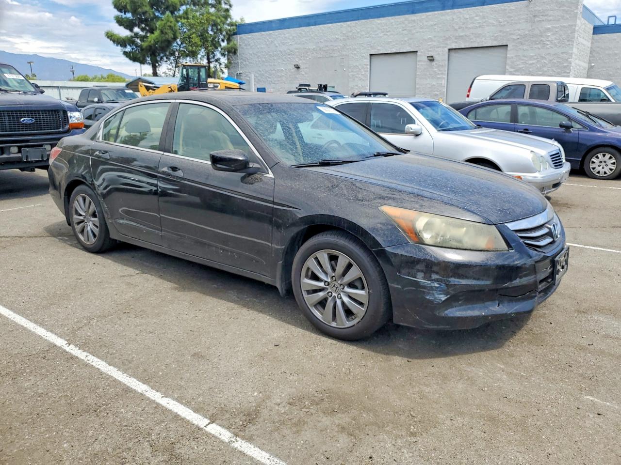 2011 Honda Accord Exl Black vin: 1HGCP2F86BA104041