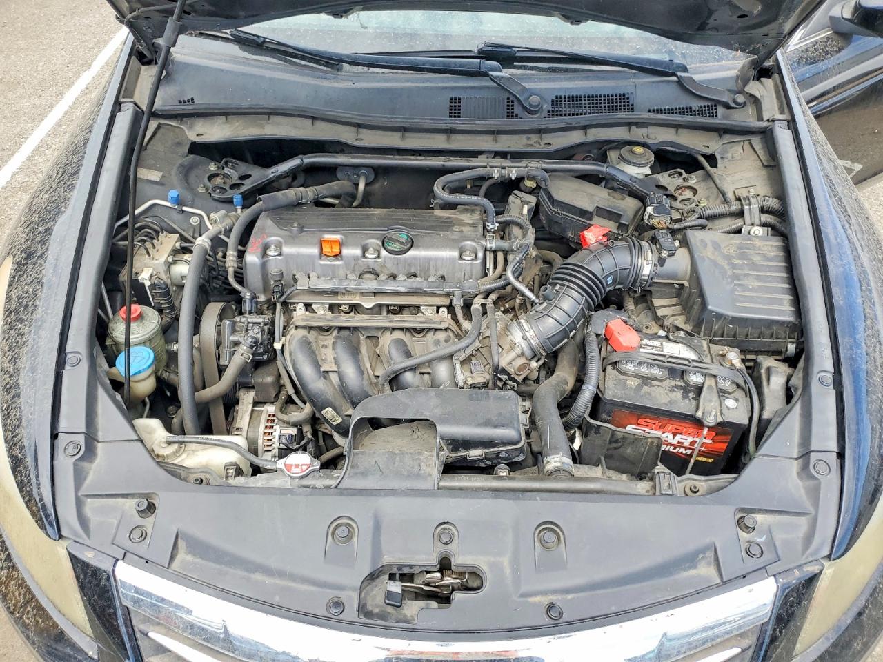 2011 Honda Accord Exl Black vin: 1HGCP2F86BA104041