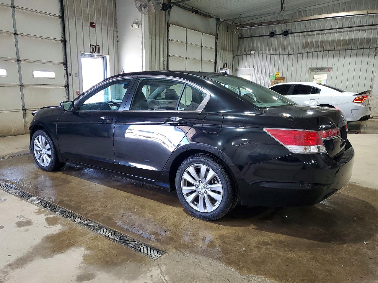 2012 Honda Accord Exl Black vin: 1HGCP2F86CA052556
