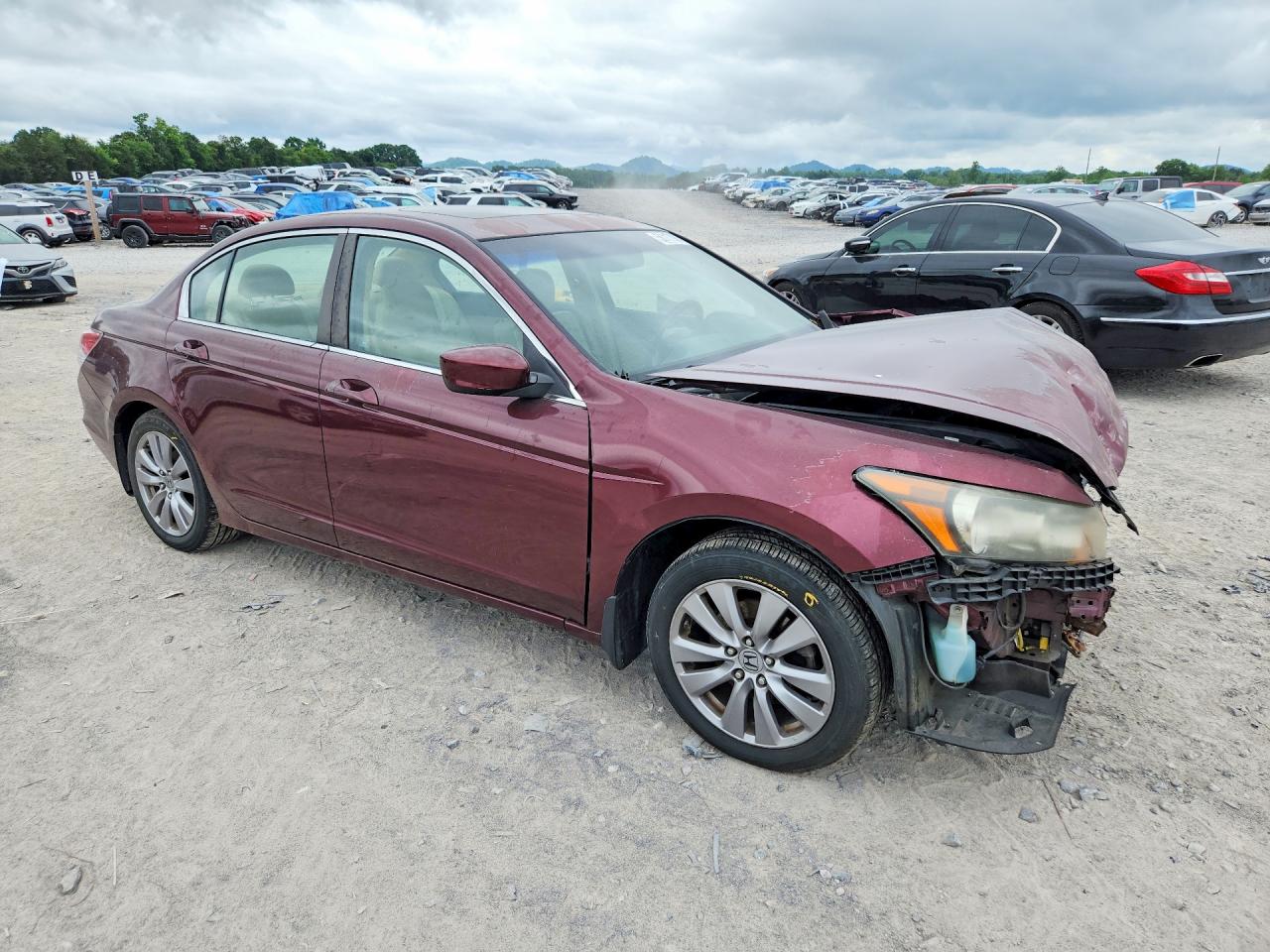 2012 Honda Accord Exl Темно-бордовый vin: 1HGCP2F86CA058079