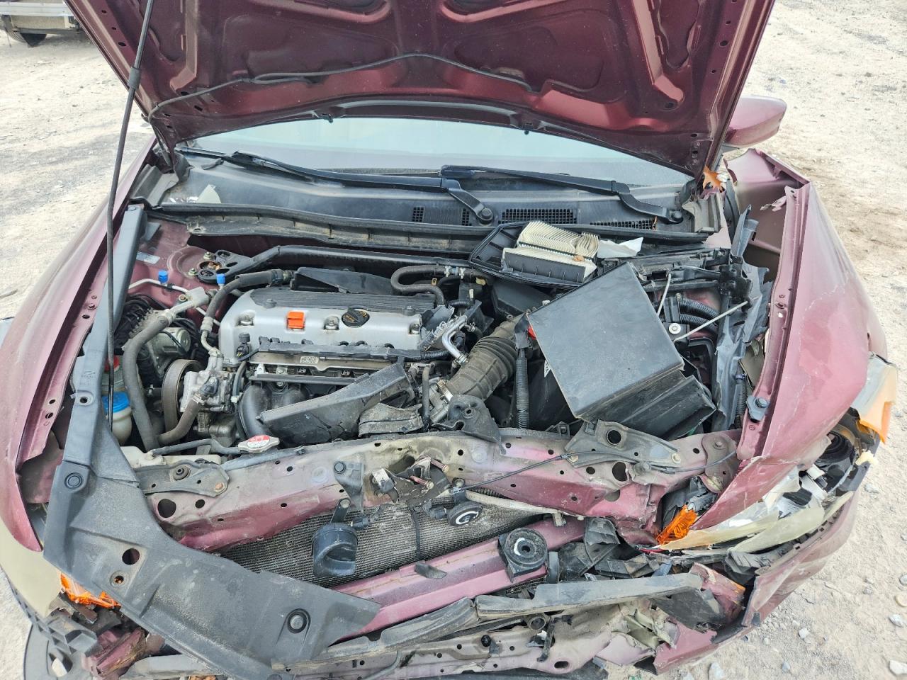 2012 Honda Accord Exl Темно-бордовый vin: 1HGCP2F86CA058079