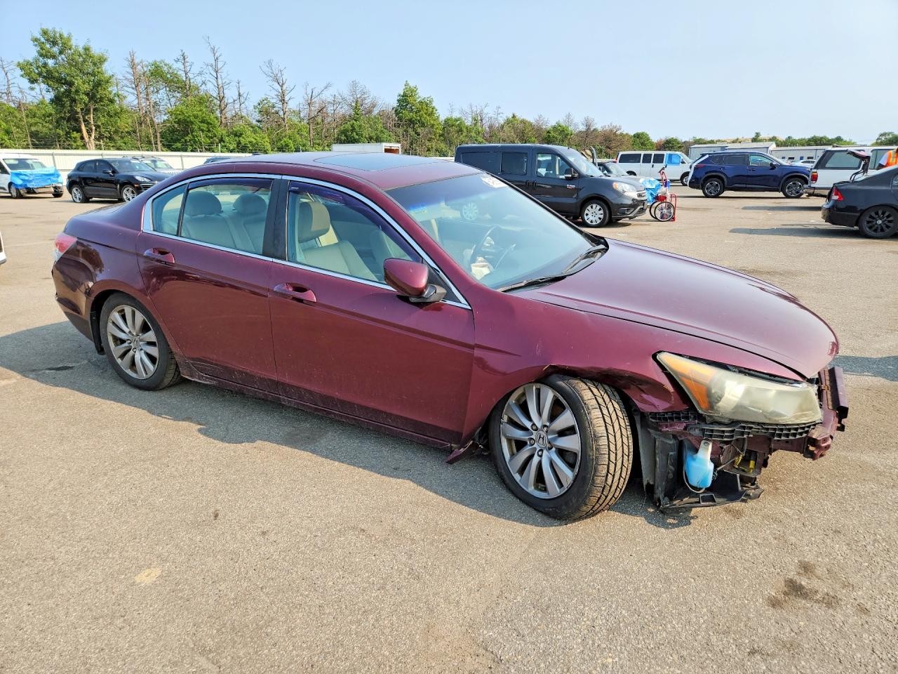 2012 Honda Accord Exl Burgundy vin: 1HGCP2F86CA068174