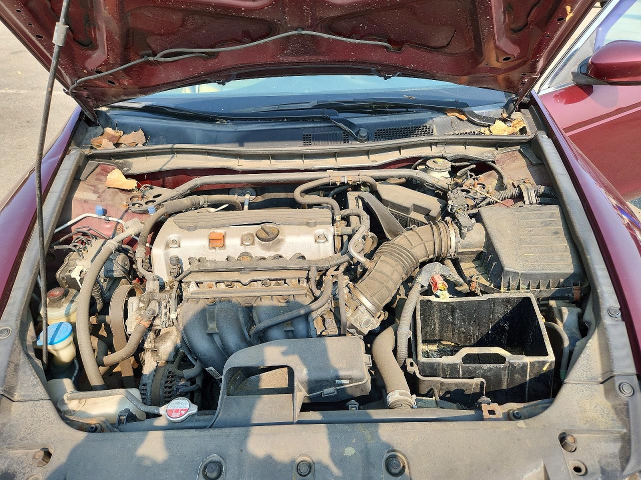 2012 Honda Accord Exl Burgundy vin: 1HGCP2F86CA068174