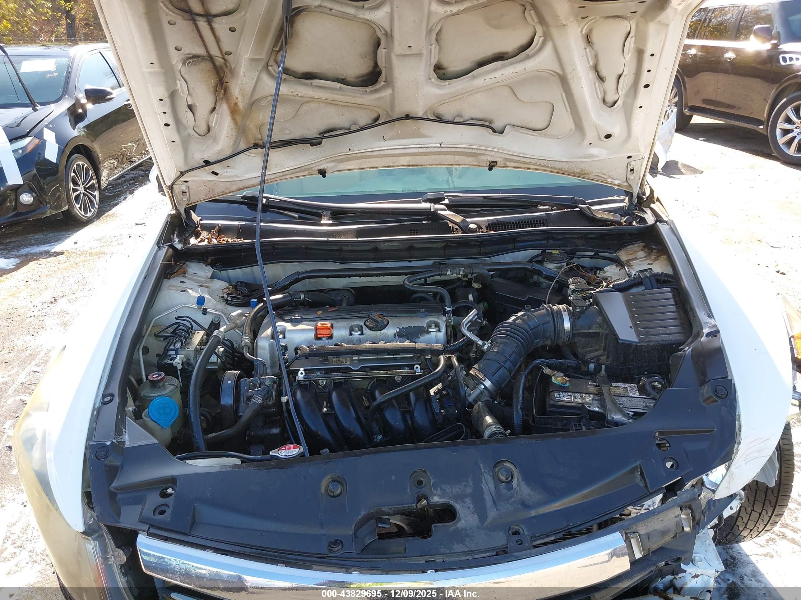 2012 Honda Accord 2.4 Ex-l White vin: 1HGCP2F86CA110987