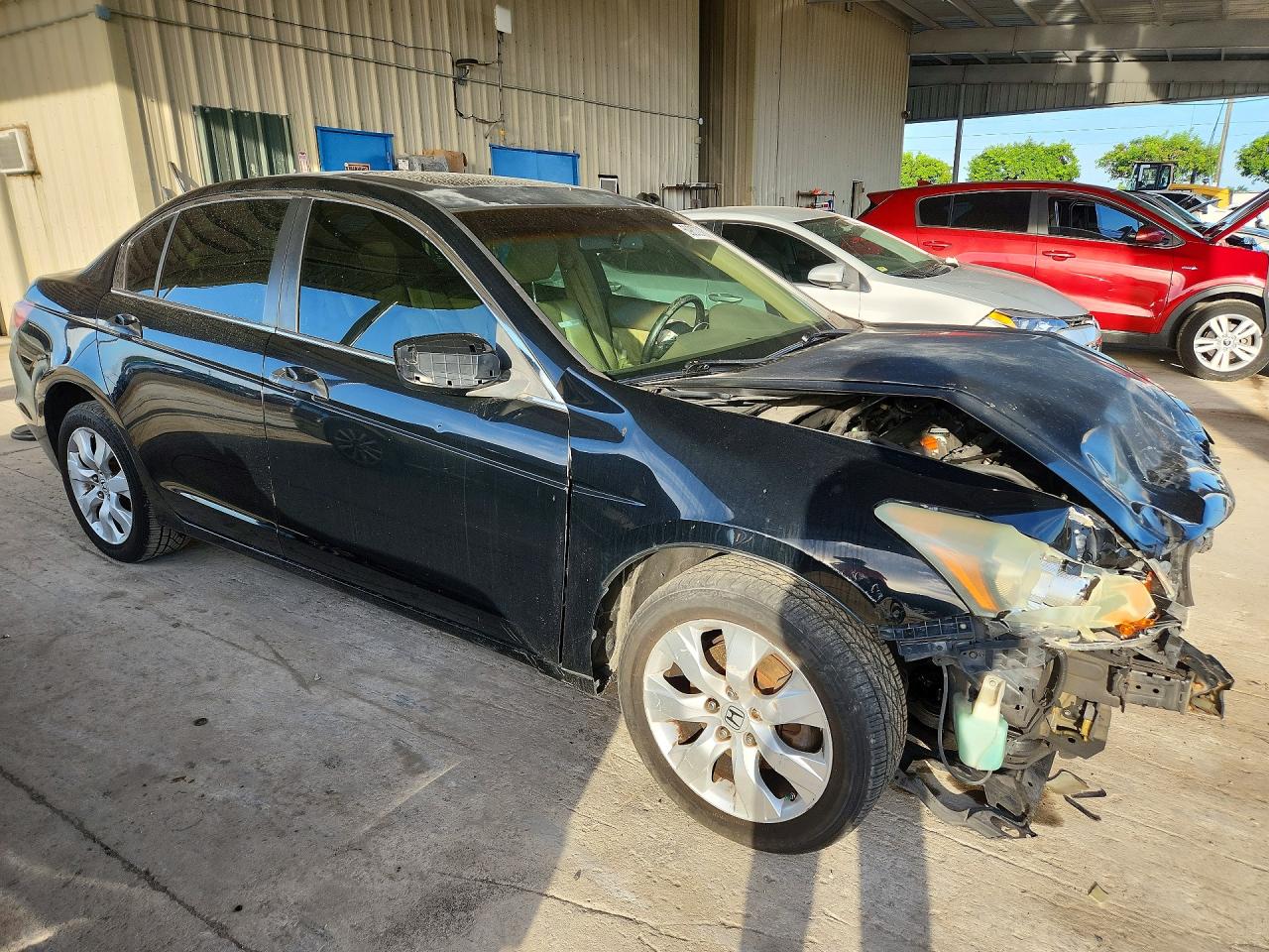 2010 Honda Accord Exl Black vin: 1HGCP2F87AA027291