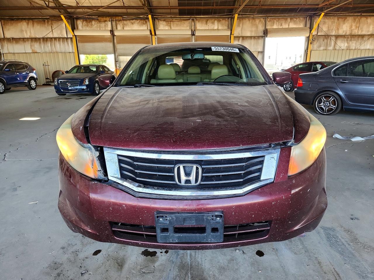 2010 Honda Accord Exl Burgundy vin: 1HGCP2F87AA064857