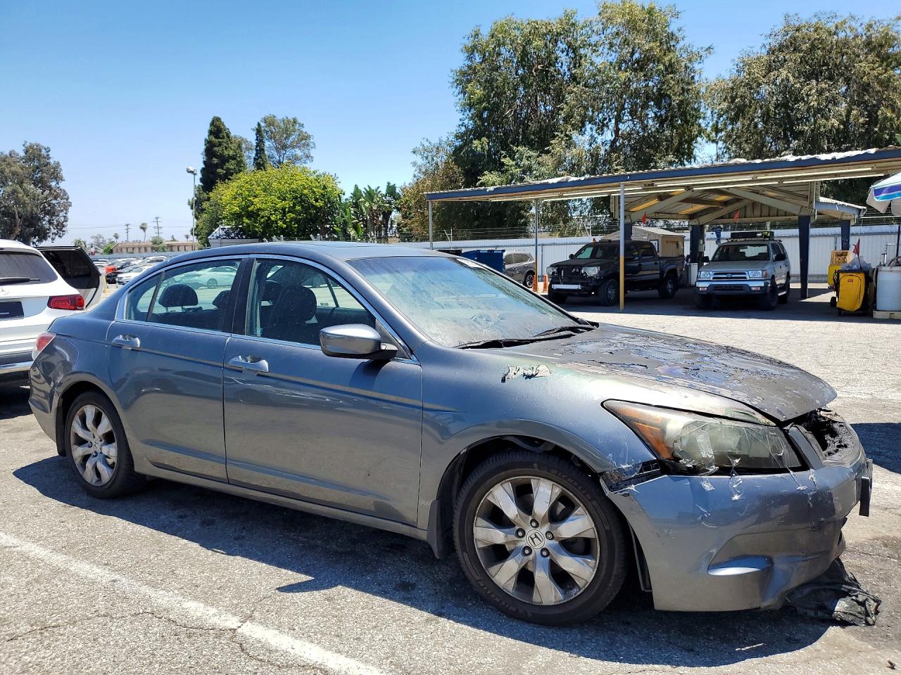 2010 Honda Accord Exl Gray vin: 1HGCP2F87AA099446