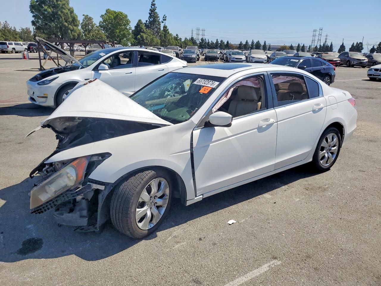 2010 Honda Accord Exl White vin: 1HGCP2F87AA115855