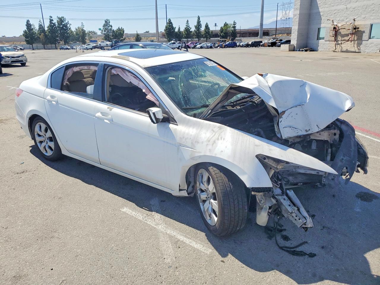 2010 Honda Accord Exl White vin: 1HGCP2F87AA115855
