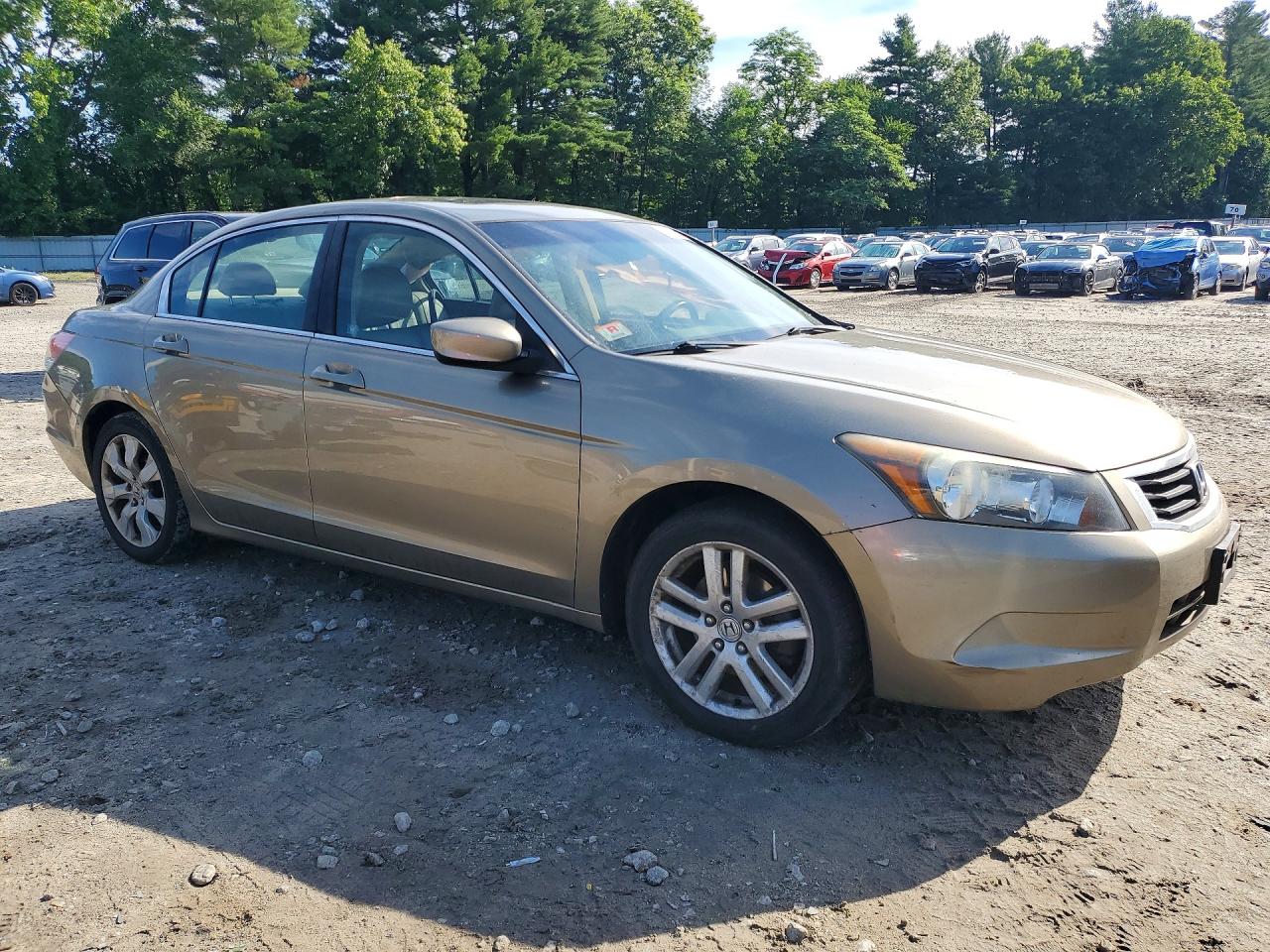 2010 Honda Accord Exl Beige vin: 1HGCP2F87AA134311