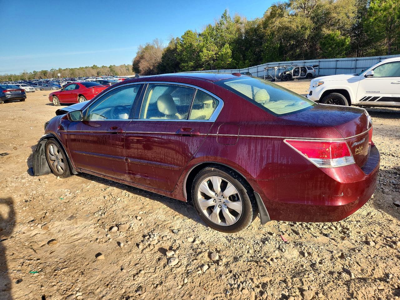 2010 Honda Accord Exl Burgundy vin: 1HGCP2F87AA138858