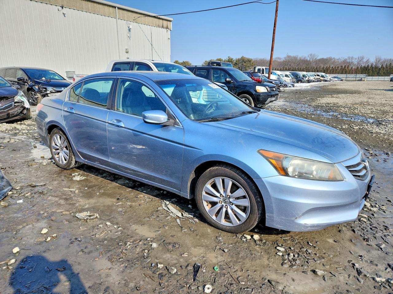 2011 Honda Accord Exl Синий vin: 1HGCP2F87BA039829