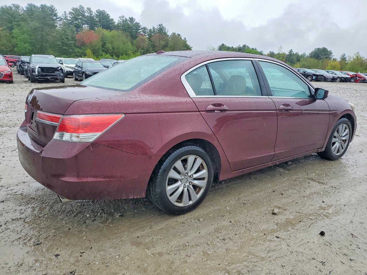 2011 Honda Accord Exl Бордовый vin: 1HGCP2F87BA054380