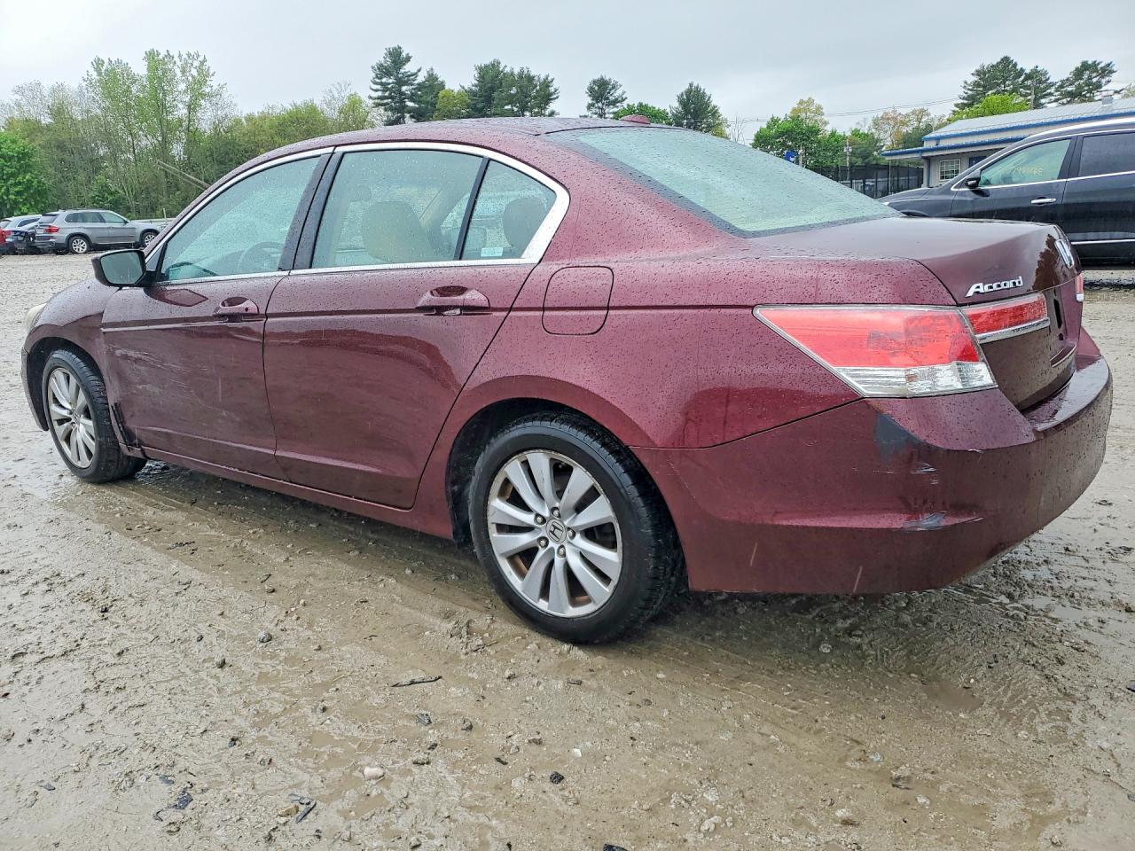 2011 Honda Accord Exl Бордовый vin: 1HGCP2F87BA054380
