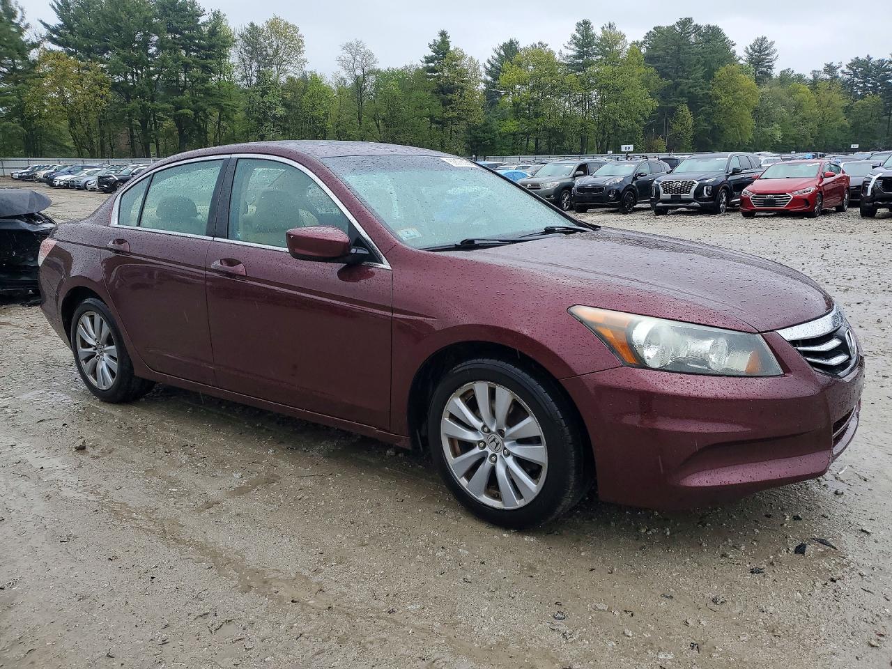2011 Honda Accord Exl Бордовый vin: 1HGCP2F87BA054380