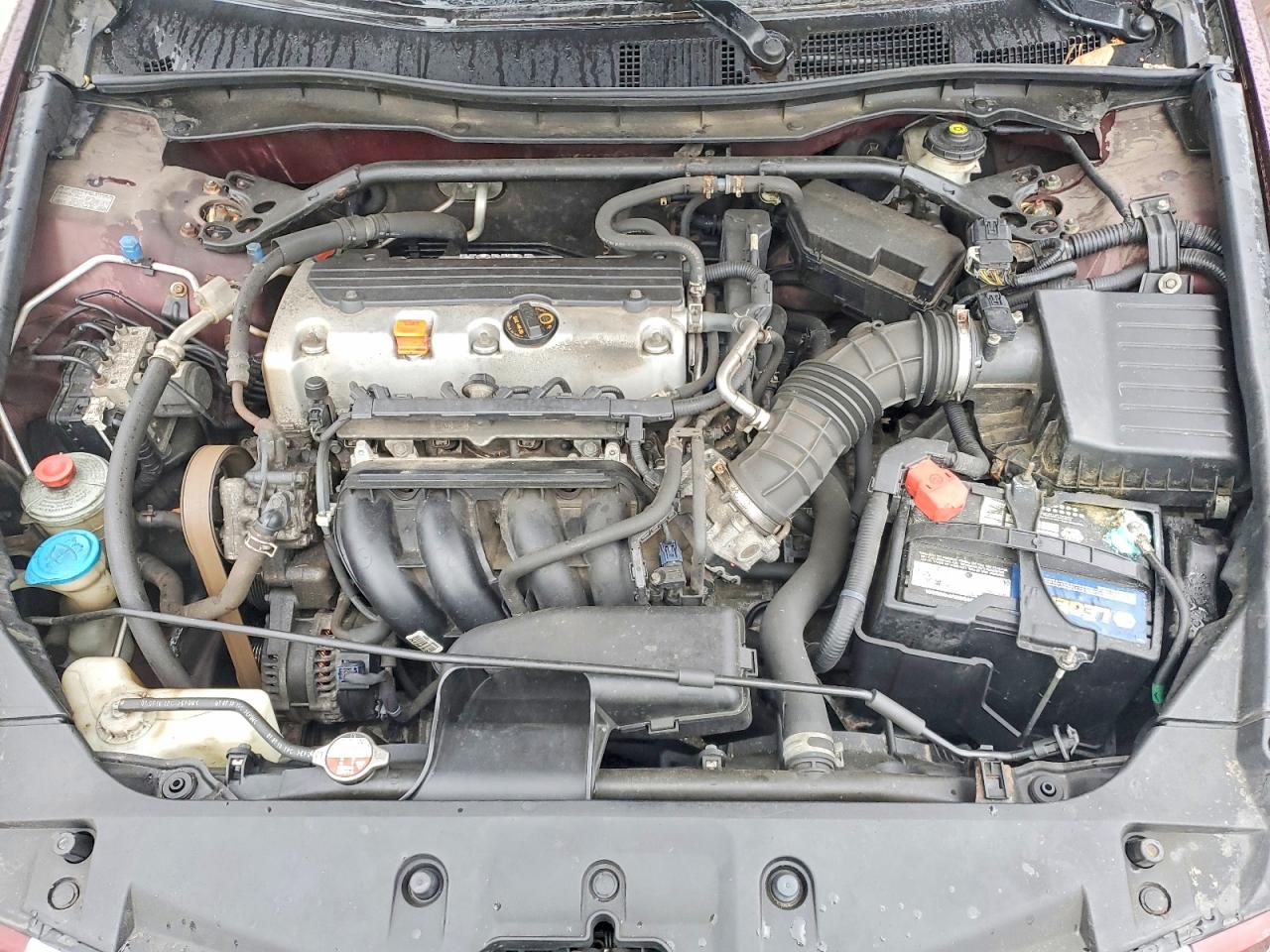 2011 Honda Accord Exl Бордовый vin: 1HGCP2F87BA054380