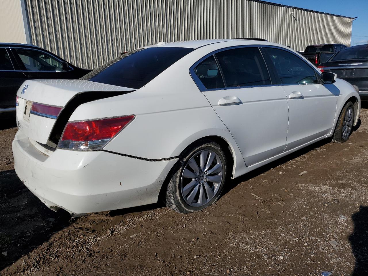 2011 Honda Accord Exl White vin: 1HGCP2F87BA058610