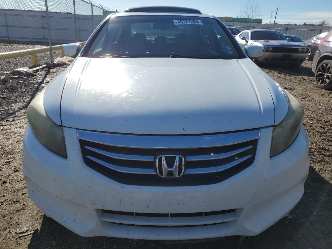 2011 Honda Accord Exl White vin: 1HGCP2F87BA058610