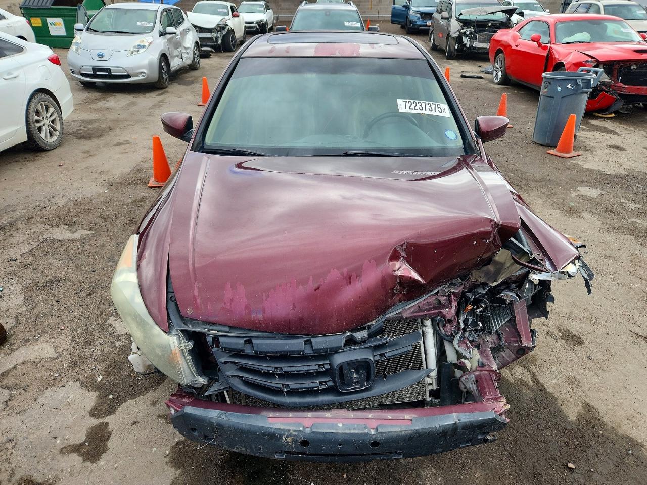 2012 Honda Accord Exl Maroon vin: 1HGCP2F87CA107970