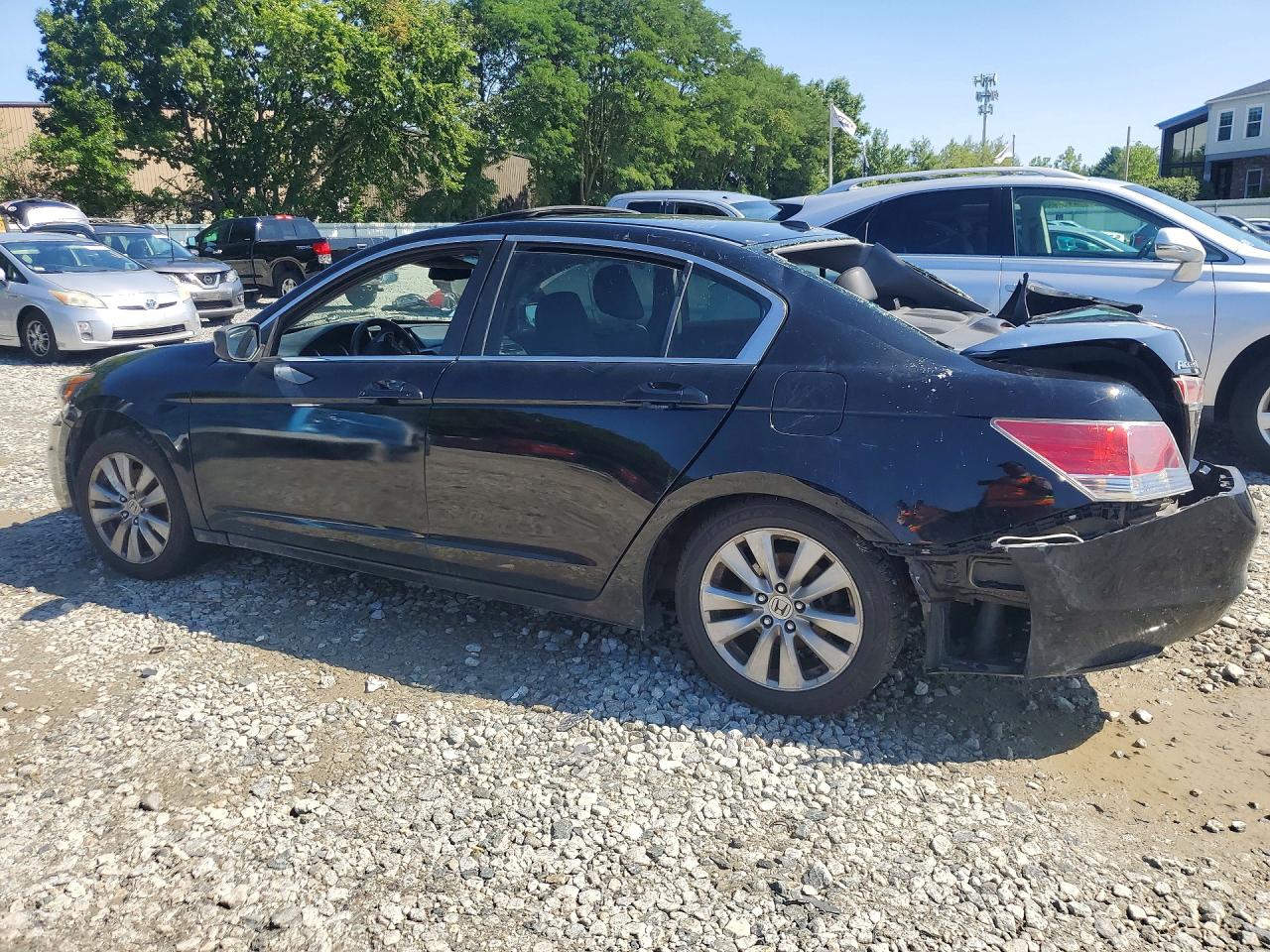 2012 Honda Accord Exl Black vin: 1HGCP2F87CA120668
