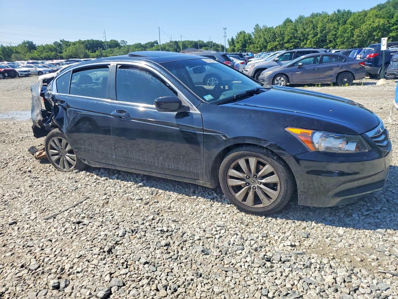 2012 Honda Accord Exl Black vin: 1HGCP2F87CA120668
