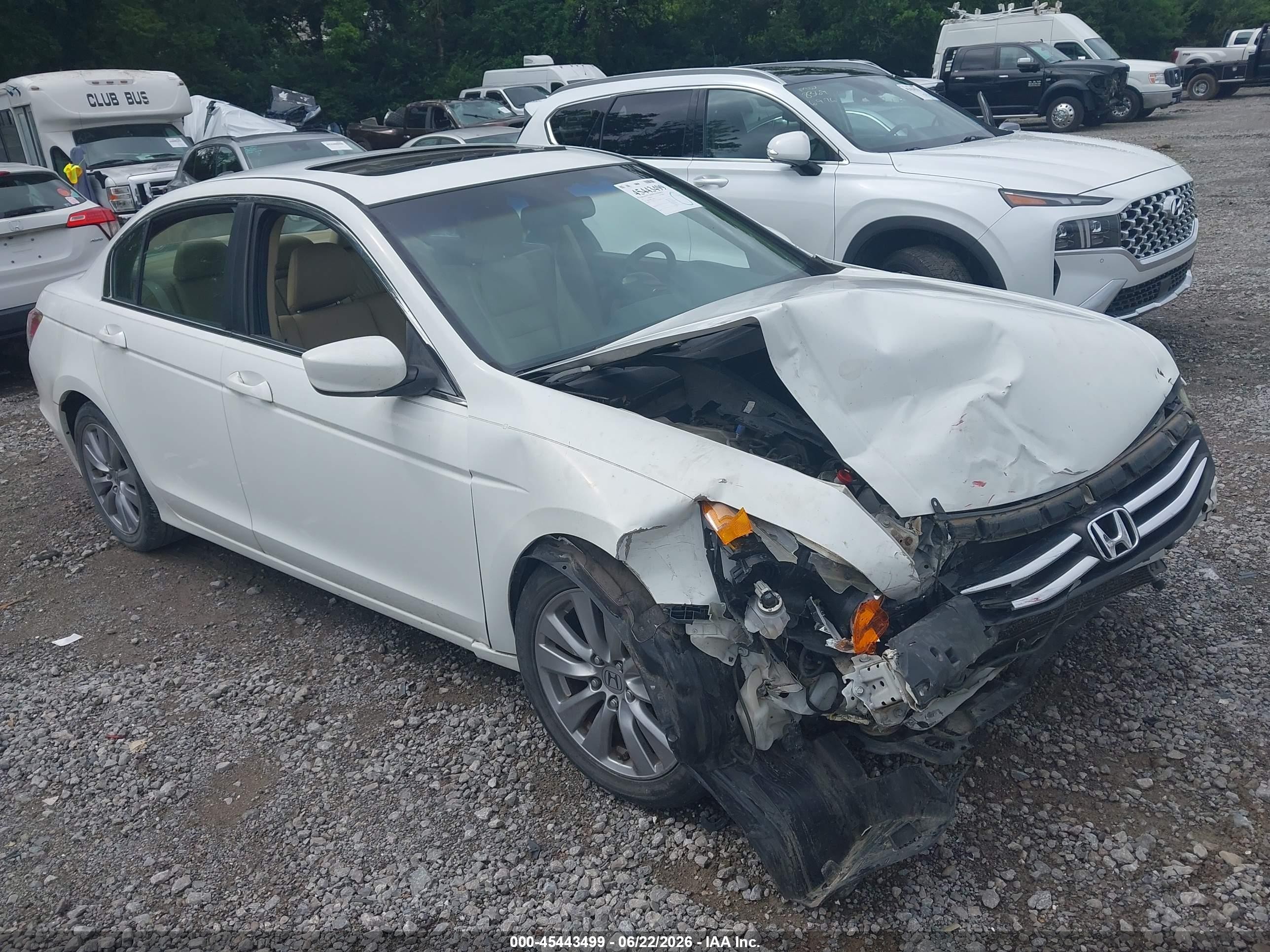 2012 Honda Accord 2.4 Ex-l Белый vin: 1HGCP2F87CA160913