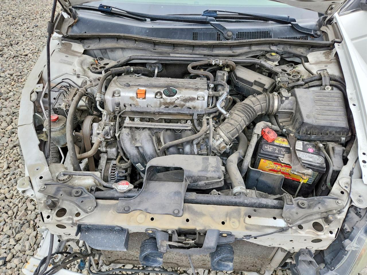 2010 Honda Accord Exl White vin: 1HGCP2F88AA089699