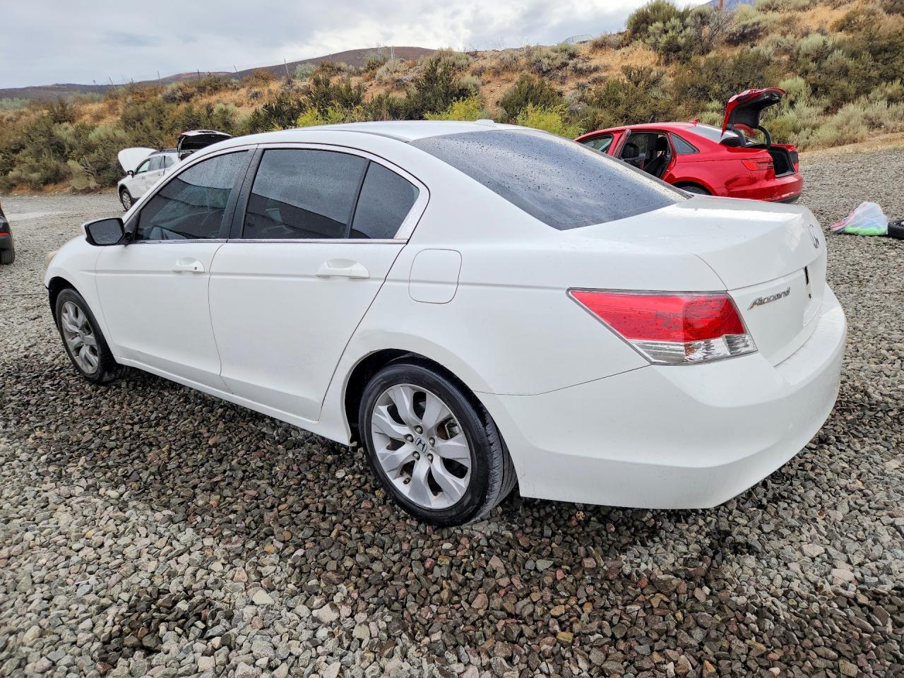 2010 Honda Accord Exl White vin: 1HGCP2F88AA089699
