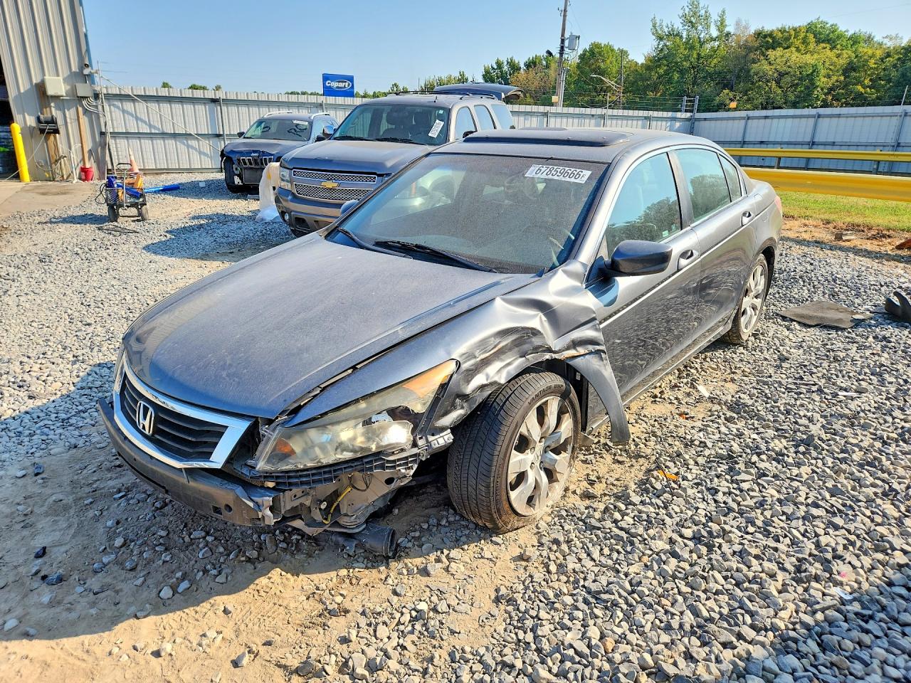 2010 Honda Accord Exl Gray vin: 1HGCP2F88AA103665